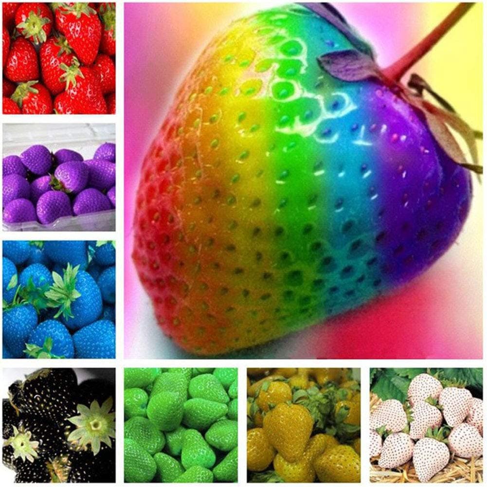 Strawberry Seeds,50Pcs Mixed Color Strawberry Fruit Plant Seeds Bonsai Balcony Garden Yard Decor - 50pcs Strawberry Seeds