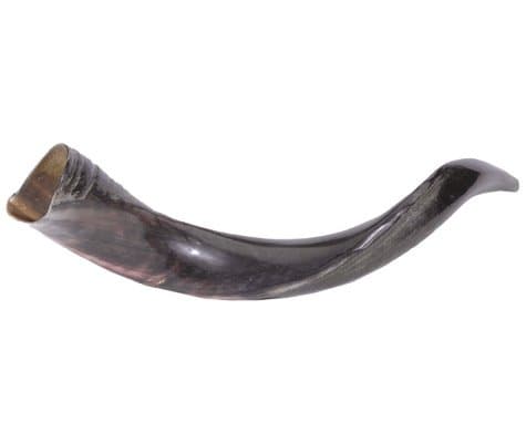 Schofar Jerusalem Shofar Kosher Yemenite Horn Polished Natural Chofar Showfar Jewish Blow Trumpet Gift Elul instrument Chofar