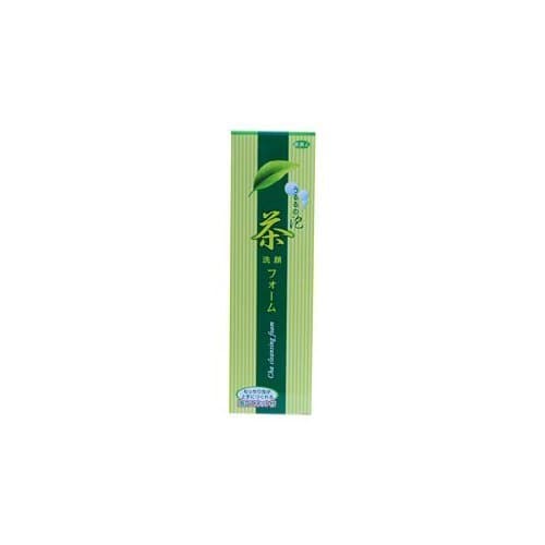 Journey Beauty Japanese tea facial cleansing foam 4.2 Oz