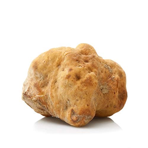 Fresh White ALBA Truffles 30g