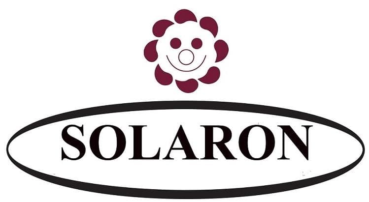 SOLARON Korean Super Thick Heavy Weight Mink Blanket (Queen, Bear and Cubs Blue)