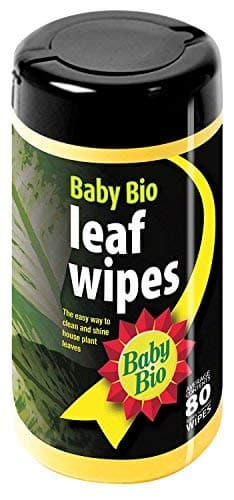 Baby Bio Leaf Wipes - 80 Wipes (5)