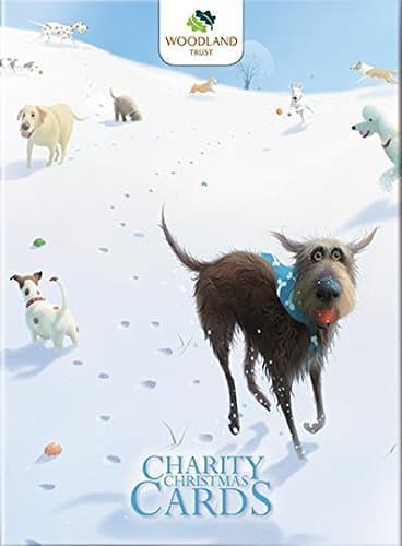 Charity Christmas Cards (ALM8726) - Snowballs - Toby the Dog - Stephen Hanson - Box of 12 Cards - 2 Designs - Sold in Aid of Woodland Trust
