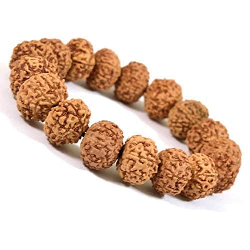 REBUY 10 Mukhi Rudraksha Bracelet Original Certified for Men and Women (Brown)