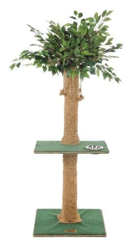 Kitty Palm Cat Tree with Ficus Foliage Top, Green Carpet, Manila Rope, 1 Platform, 48 Inches