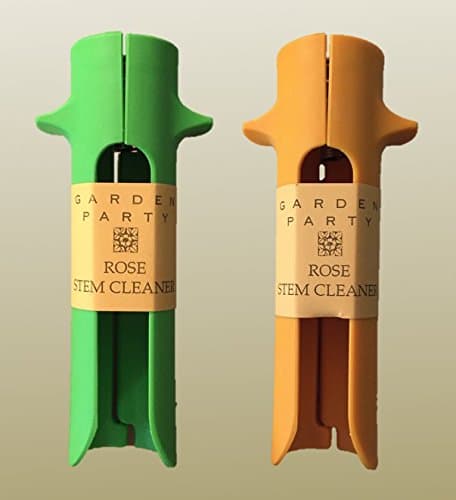 Vendita Everything Garden Party Rose Strippers (Set of 2)