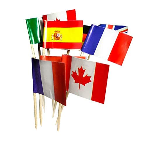 National Flag Picks Flag Toothpicks Cocktail Sticks Cupcake Toppers, Random Country, 100 Count