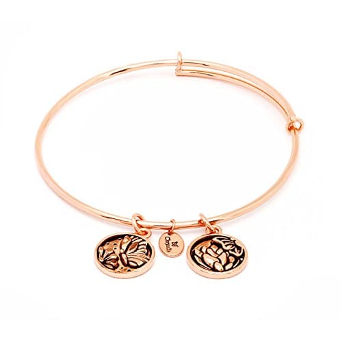 Chrysalis Transformation Expandable Bangle
