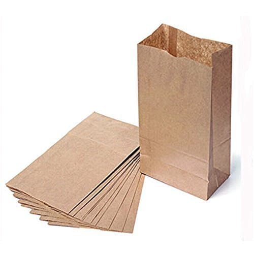 The Young® Brown Kraft Paper Gift Bags Brown Paper Bags (70G Thicker Small 50)