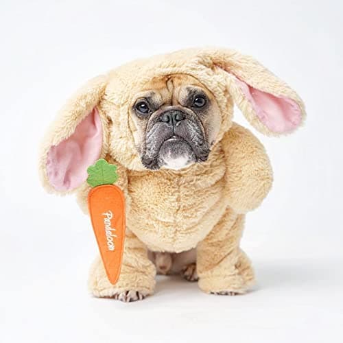 Pandaloon Dog Halloween Costume - As Seen on Shark Tank - Patented - Funny Costume with Arms for Small and Medium Dogs and Cats (Bunny, Size 3(17-19 in Height at TOP of Head,Girth<22 in))