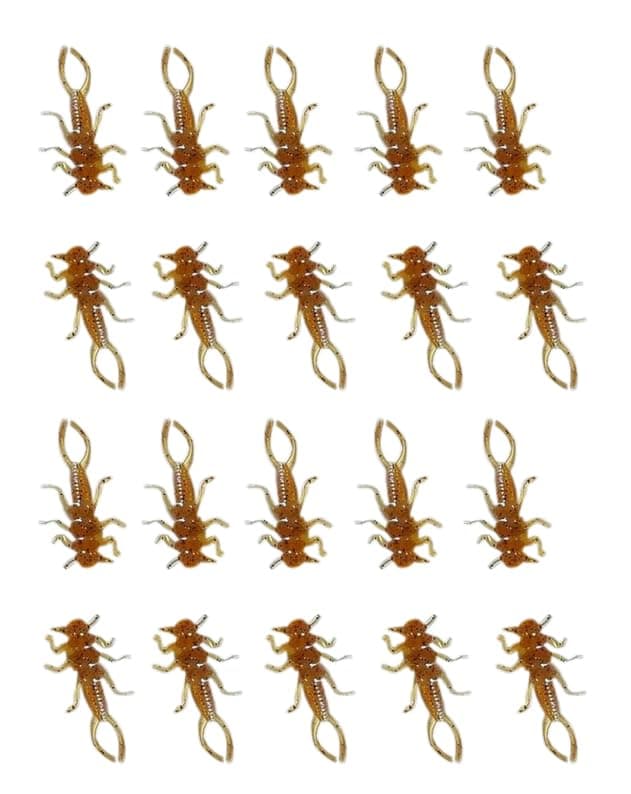 PA Lures Pumpkinseed Soft Plastic stonefly Fishing 20 Pack