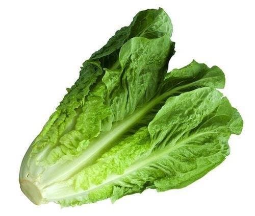 Vani Impex Lettuce Ice-Romaine -Pack of 100 Seeds
