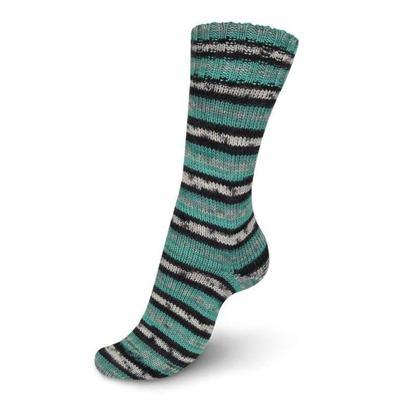 4 Ply Color 100g 07713 Celebrate