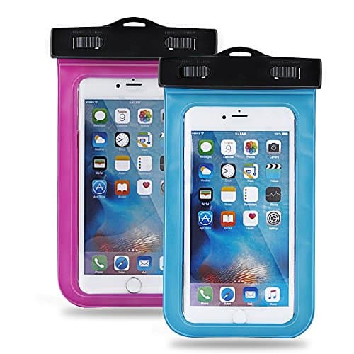 OCD pet Vacation nigtmare