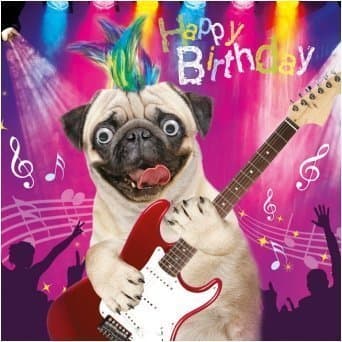 Funny Pug Dog Rocker Birthday Card Goggly 3D Moving Eyes
