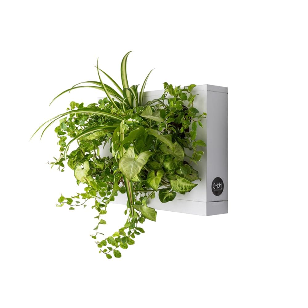HOH, Indoor and Outdoor Wall Mount Hanging Multi Plant Pot In White (ABS Plastic) with Natural Substrate and Instruction Included, Hanging Garden Wall Planter