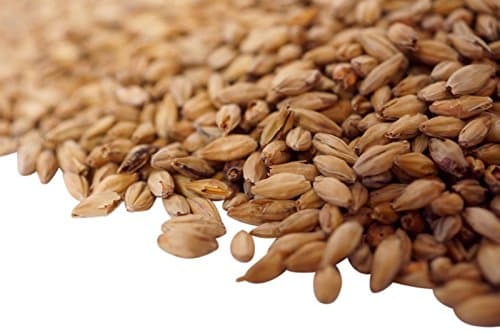 Muenchner Organic Malt 1 kg Bag for Grain mash