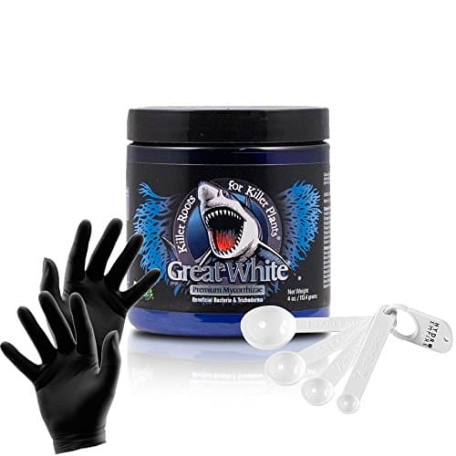 Plant Success Great White 4 oz Mycorrhizae Premium Nutrients | Organic Inoculant Provides Vitamins, Enhances Growth and Increases Yields with Hydro Empire Measuring Spoons and Black Nitrile Gloves