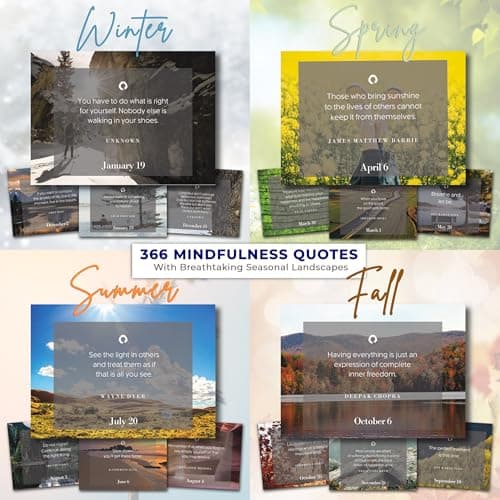 MESMOS 366 Mindfulness Self Care Quotes Daily Motivational Calendar, Inspirational Gifts for Men, Office Decor for Men and Women, Office Desk Accessories for Men, , Stress & Anxiety Relief Items,