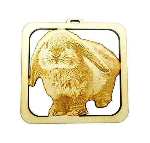 Lop Bunny Ornament, Personalized Lop Eared Bunny Rabbit Ornament For Christmas Tree, Bunny Christmas Tree Ornaments, Farm Themed Christmas Ornaments