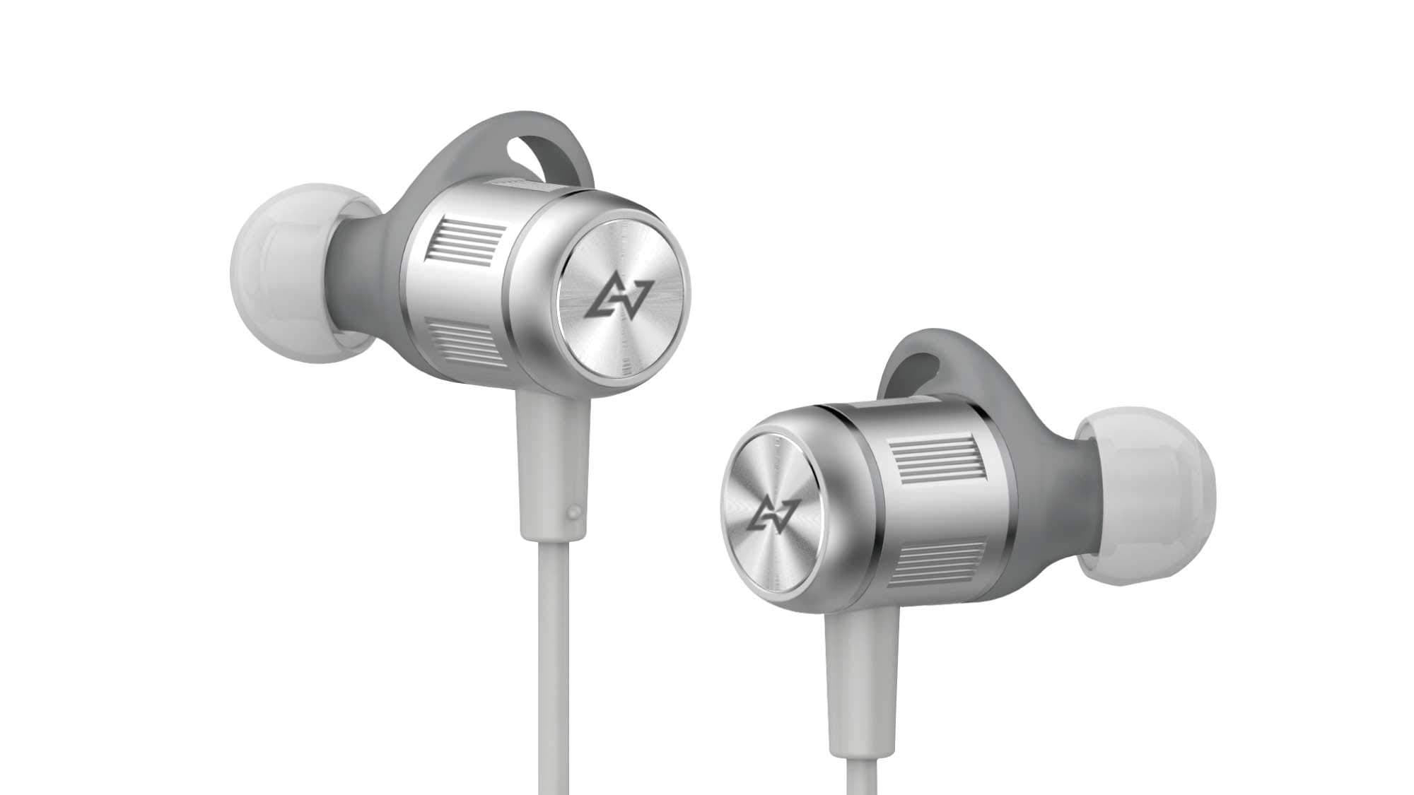 AVIOT Bluetooth Wireless Earphone WE-BD21d-SL (Silver)【Japan Domestic Genuine Products】【Ships from Japan】