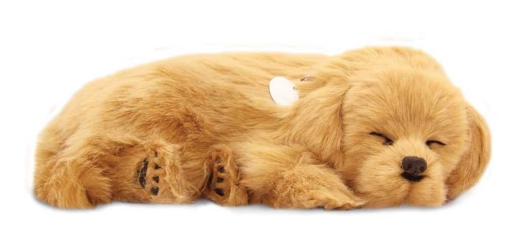 Precious Petzzz Lifelike Breathing Huggable Cute Puppy Dog Cat Birthday Gift UK by Lizzy® (Golden Retriever)