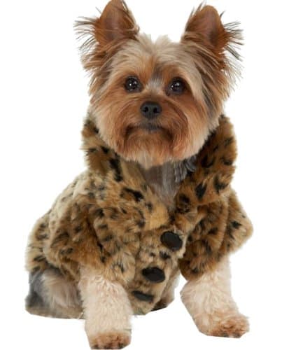 WISHLAND Cold Weather Dog Coat for Large Dogs, Pet Costum Dog Winter Clothes Coat Apparel Puppy Warm Jacket Hoodie Leopard Costume