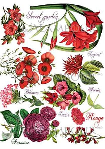 Calambour Rice Paper Botanica Red Flowers 35 x 50 cm Ref DGR311