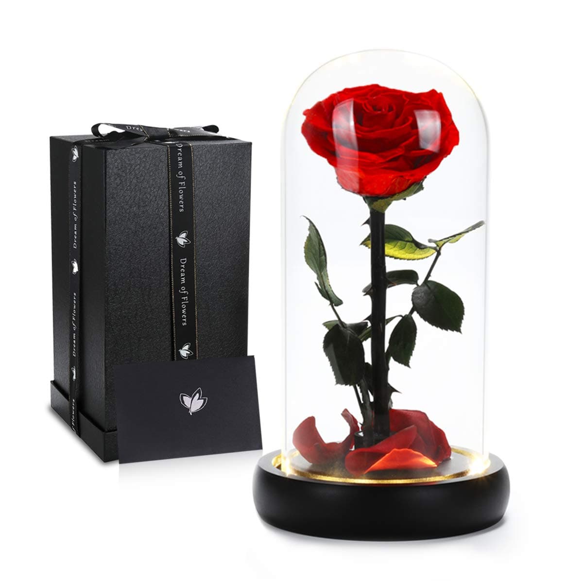 Preserved Real Red Rose