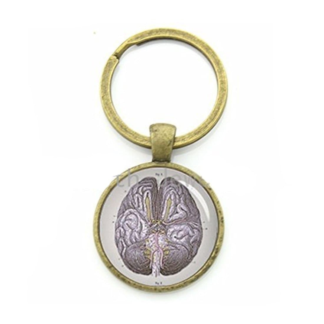 Retro Anatomy Jewelry Anatomical Brain Keychain Human Brain Anatomy Body Keyring