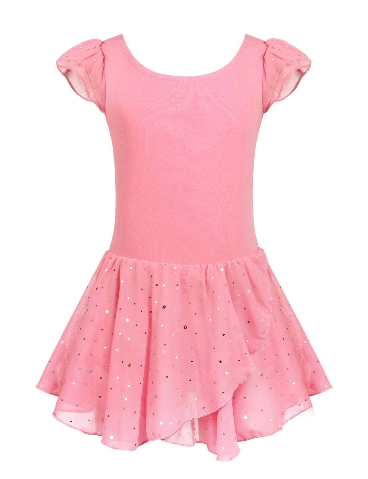 Girls Ruffle Sleeve Ballet Dance Dress Tutu Skirted Leotard