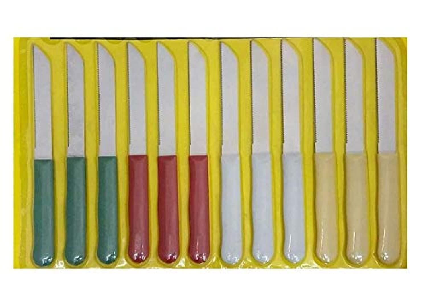 Stainless Steel Kitchen Knives Set (12 Pieces)