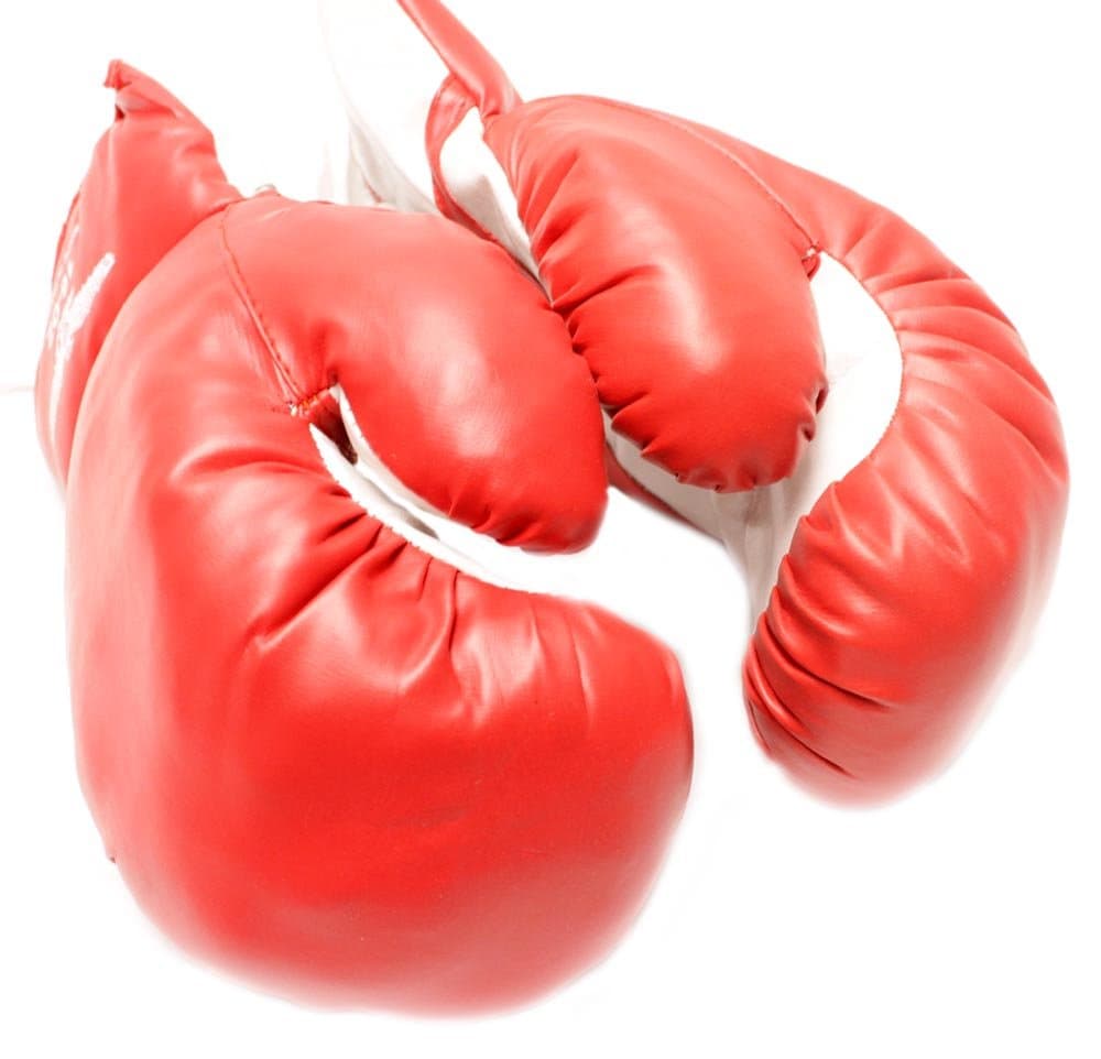 New 1 Pair of Youth Red 6oz Boxing Gloves For Kids