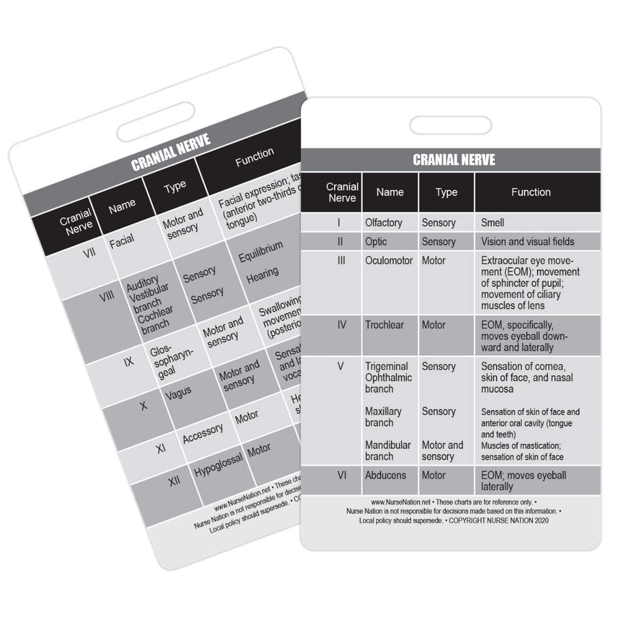 Cranial Nerve Chart Reference Vertical Badge Card - Excellent Resource for Nurses, Nursing Clinicals, and RN Students - Great Nursing School Supplies and Accessories