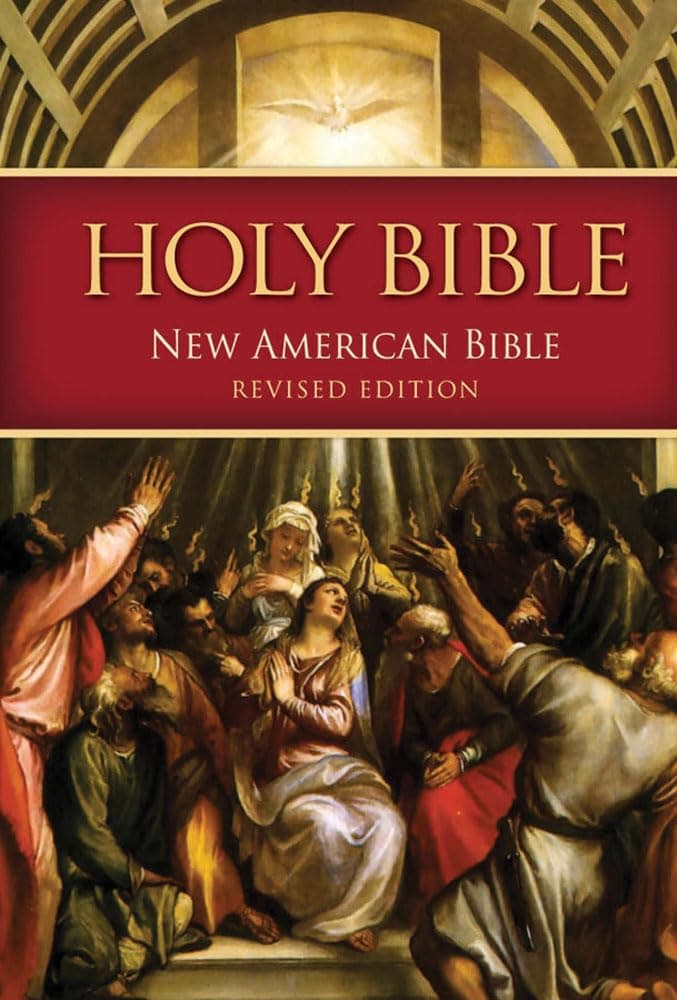NABRE - New American Bible Revised Edition (Quality Paperbound): Standard Size - Quality Paperbound Paperback – March 15, 2010
