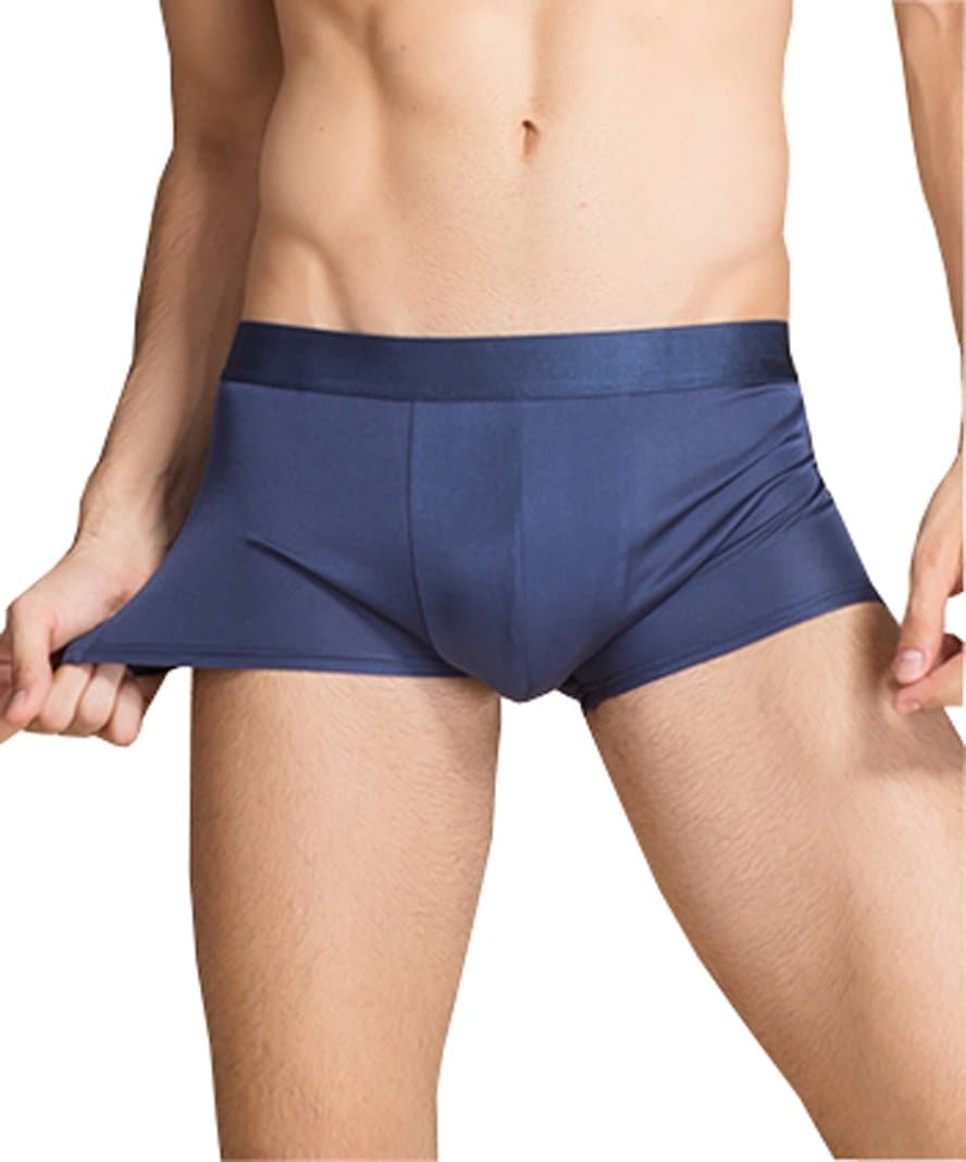 METWAY Men's Underwear 100% Mulberry Silk Boxer Briefs Medium, Blue