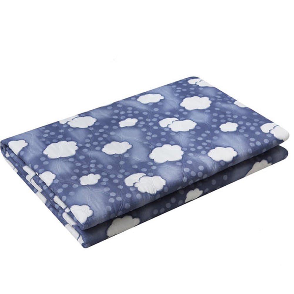 HanIl NHI Electric Blanket Microfiber Heating Bed Pad Winter Mattress Cover Microfiber 220V (Small, Blue&Cloud)