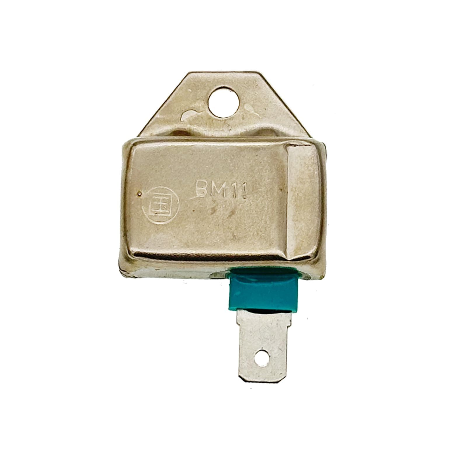 21119-2161 Ignition Module for Kawasaki M73484 M70114 AM132770 BM11 For John Deere 175 245 262 265 320 325 345 Replacement 2119-2139 211192161 2119-2095 211192095 21119-2101 Lesco 50409