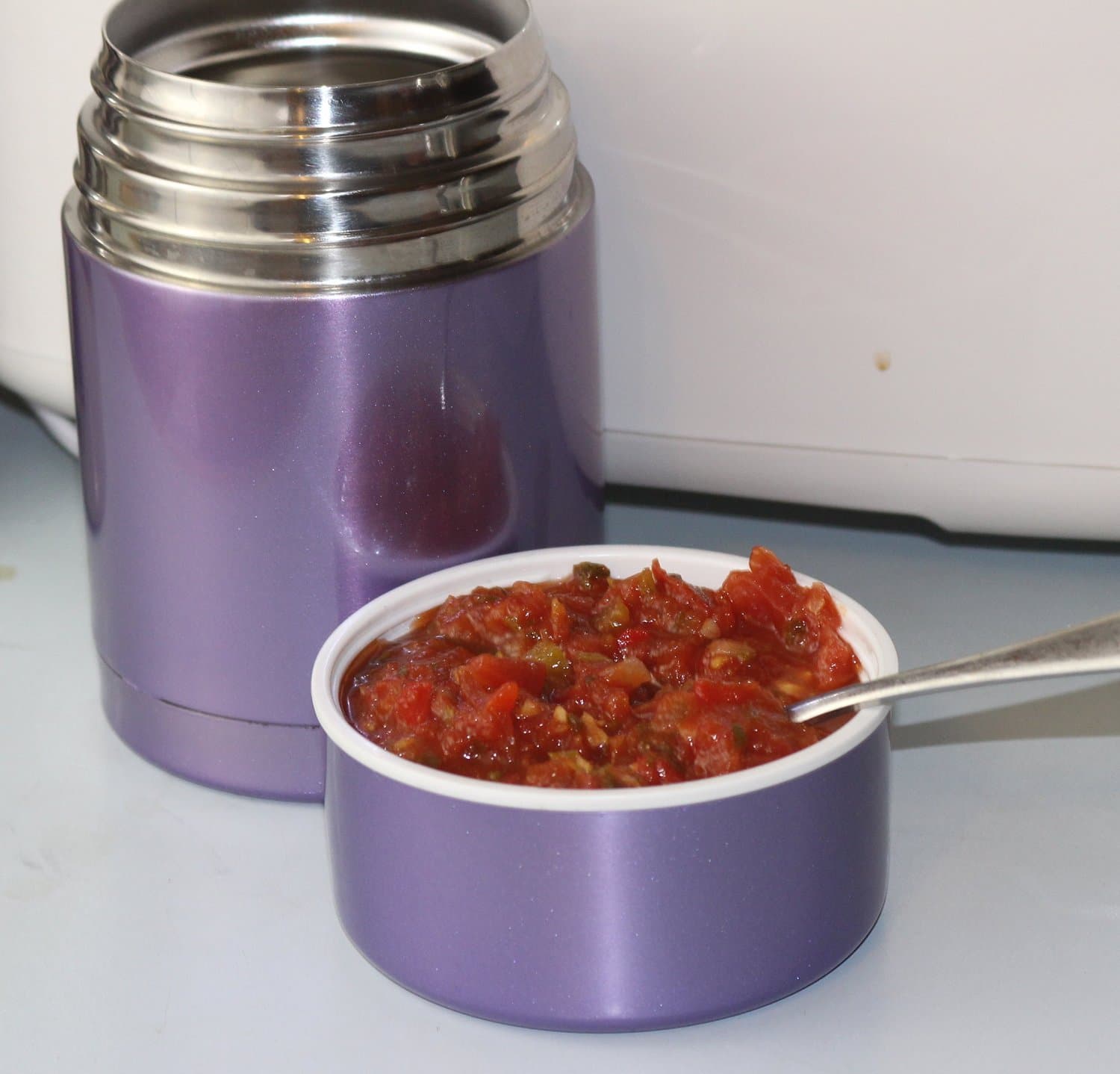 Insulated Vacuum Sealed Thermal Hot Food Stainless Steel Jar Containers for Lunch, Travel, Hiking, Camping, Survival 16 Oz No BPA (Purple)