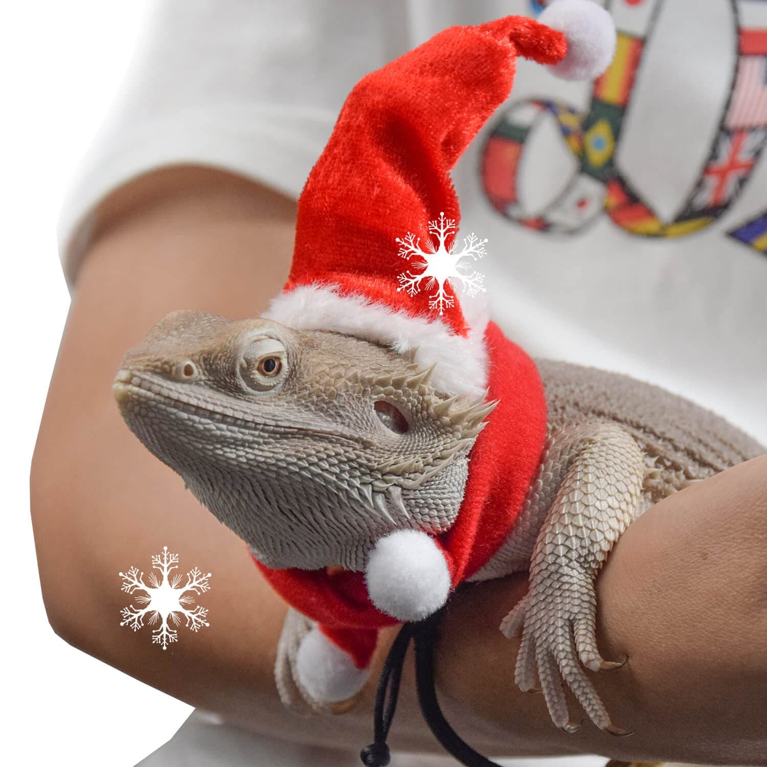 Bearded Dragon Clothes Christmas Costume Reptile Santa Hat Scarf Ferret Xmas Hat Pet Costume Clothes Outfit Small Animal Costume Clothing Mini Reptile Straw Hat with Antlers Adjustable Strap (Red)