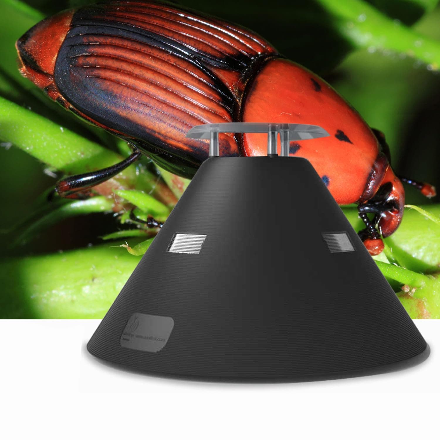 ELECTRAP® - Red palm weevils final solution. (Future Innovative Right Solutions Technologies, UAE)