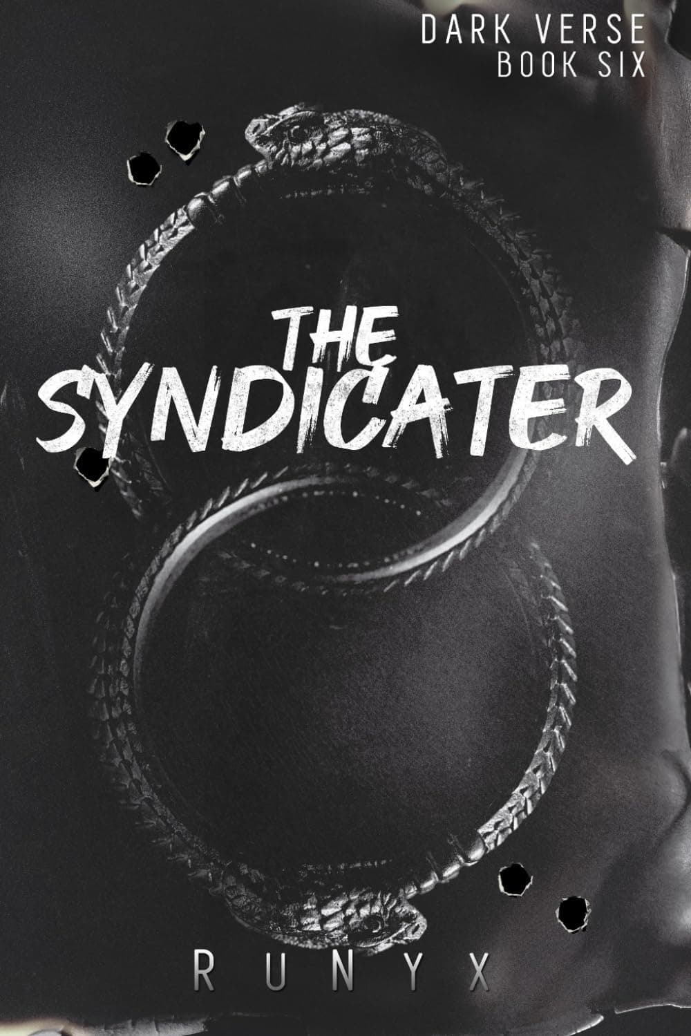 The Syndicater: A Dangerous Dark Romance (Dark Verse, Band 6) Paperback – 19 November 2024