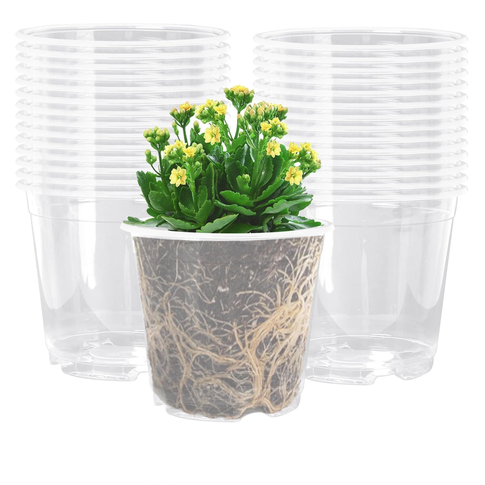 6 Inch Clear Nursery Pots PP Seedling Pots for Plants 30Pcs Transparent Orchid Potting Pots with Drainage Holes Indoor Outdoor Flower Pots Seedlings Succulent Vegetable Herb