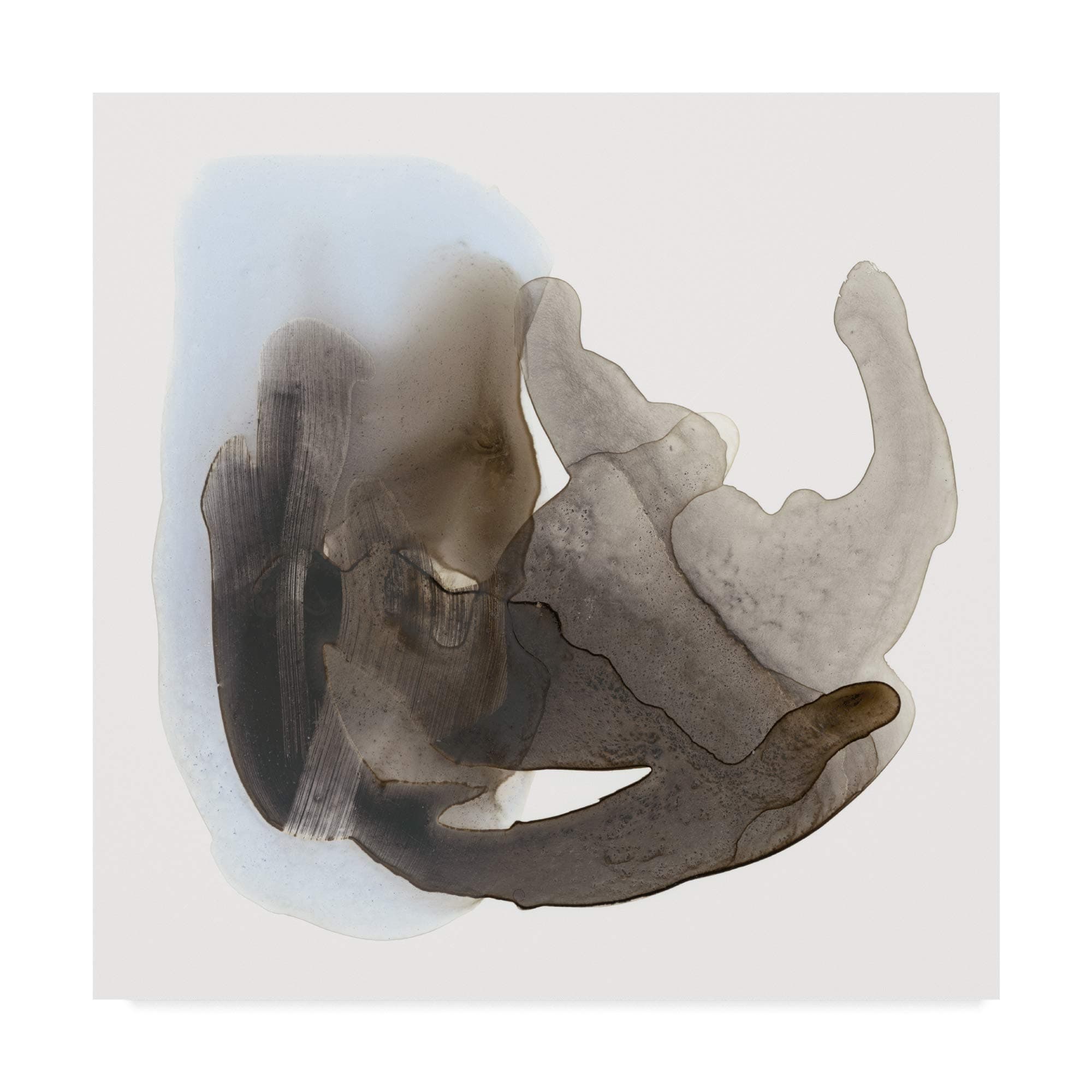 Trademark Fine Art Embodiment II by Renee W. Stramel, 14x14,