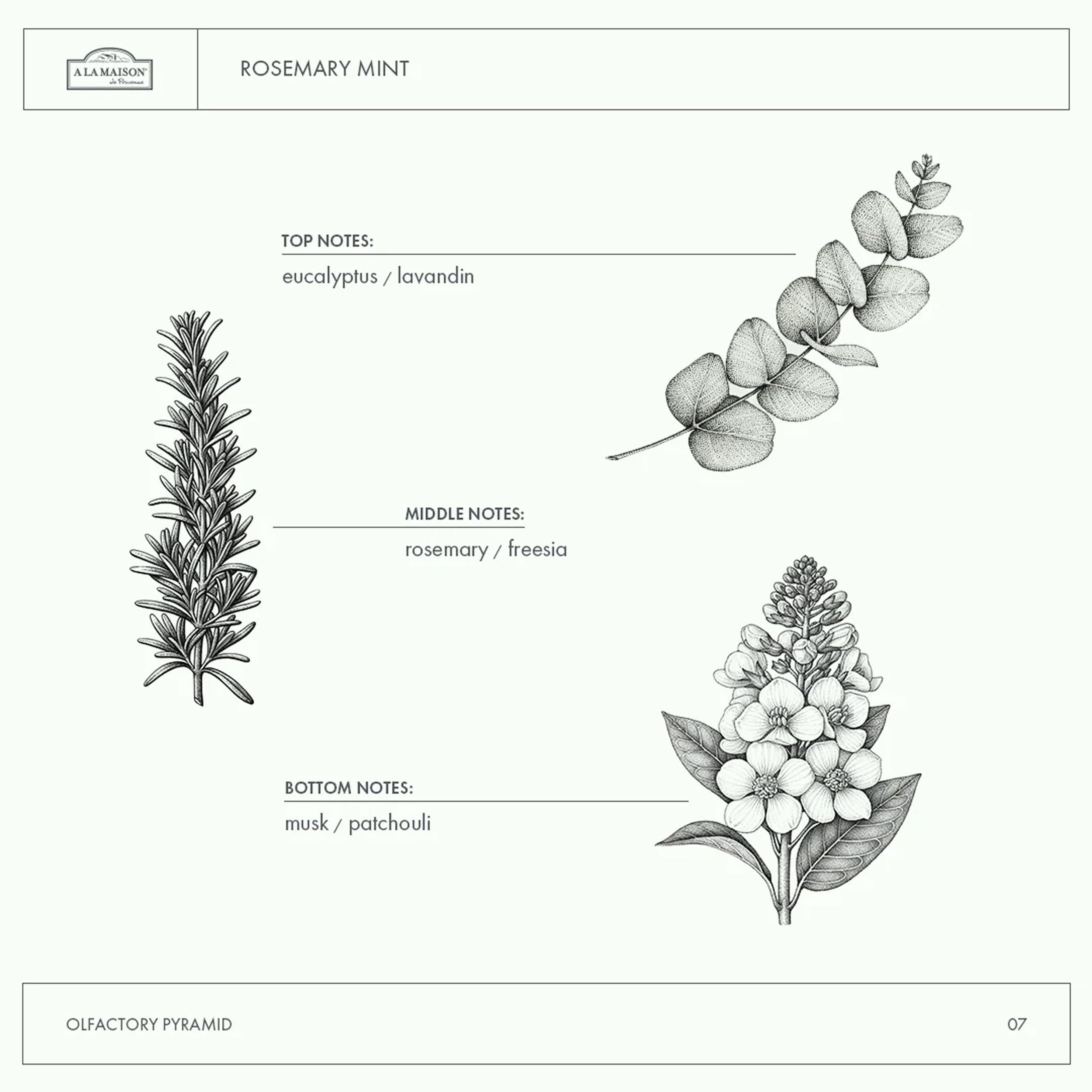 A La Maison Rosemary Mint, 33.79 Fluid Ounce