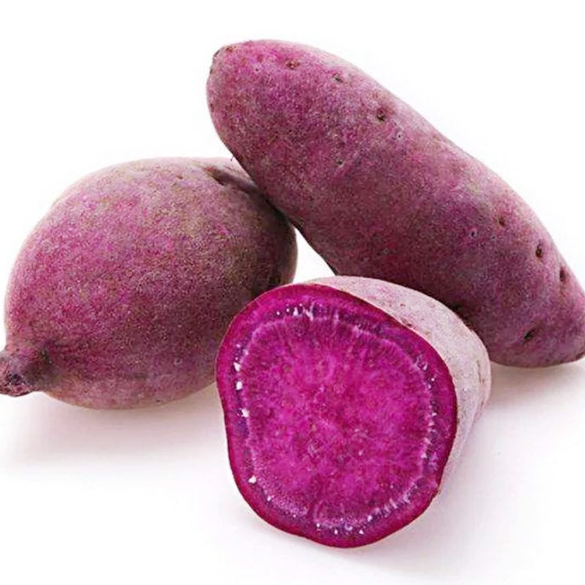 Rare Sweet Potato Seeds 100 Dark Purple Sweetpotato Seeds for Planting Home Garden Nutrition Delicious Non-GMO Heirloom Vegetable Seed