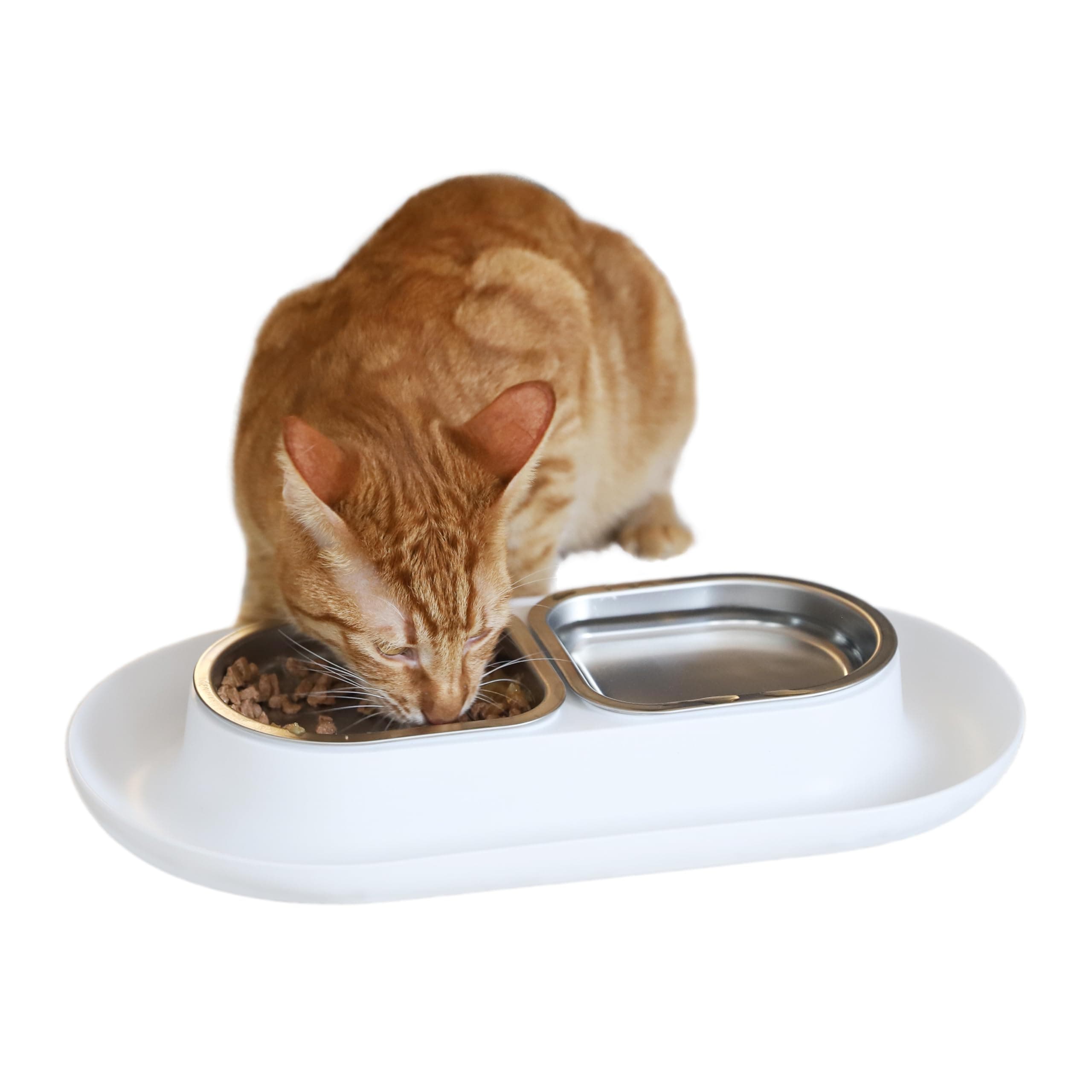 Hepper Nomnom Modern Cat and Dog Dish with Stainless Steel Bowls. Wide Tray to Keep Floors Clean and Ants Out of the Food! Color White