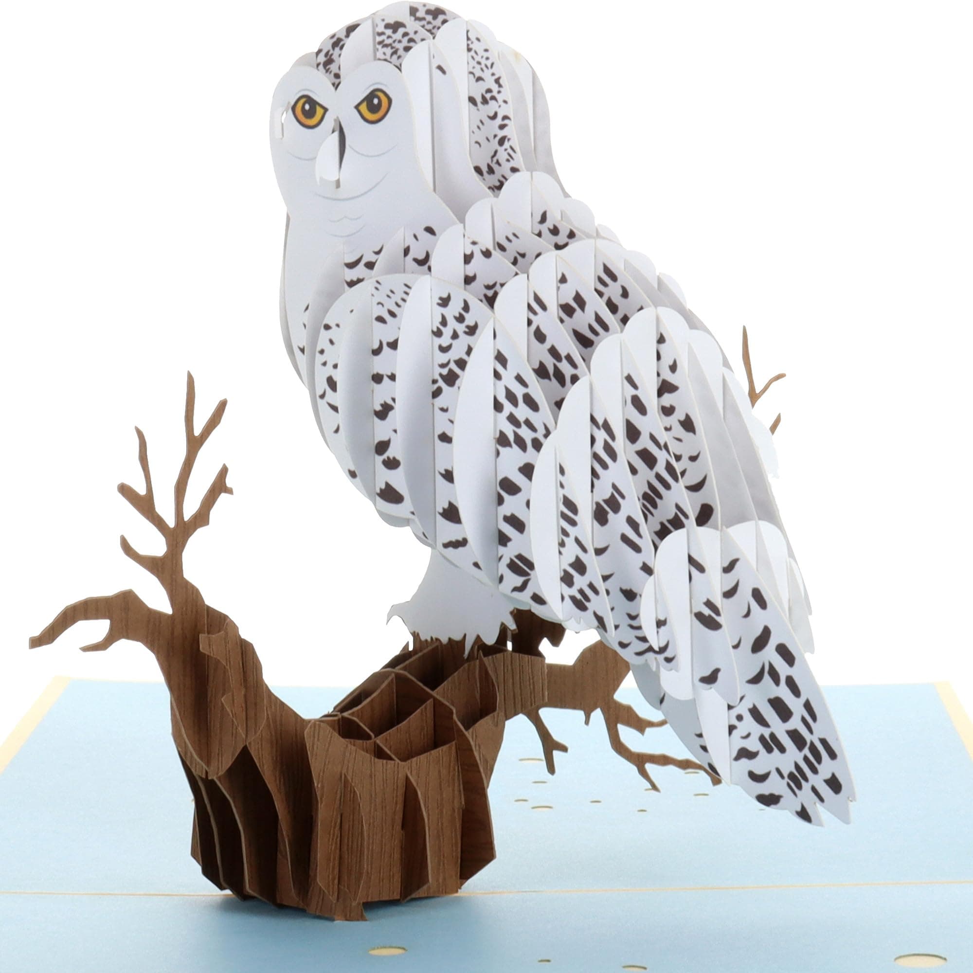 iGifts And Cards Magical Owl 3D Pop up Greeting Card - Animal, Zoo, Cute Bird, Nocturnal, Fun, Graduation, Happy Birthday, Just Because, Love, Friendship, Thank You, Special Occasion, BFF, Miss You