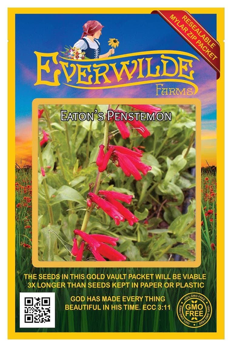 Everwilde Farms - 800 Eaton's Penstemon Native Wildflower Seeds - Gold Vault Seed Packet