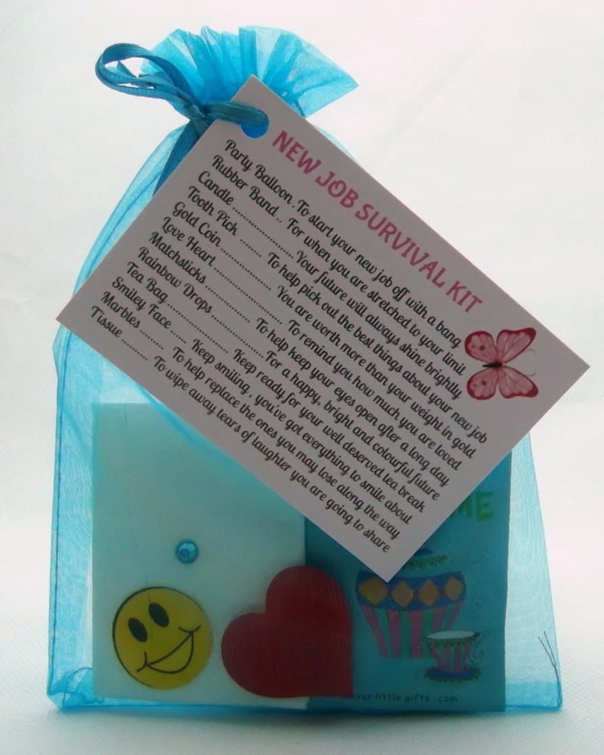 New Job Survival Kit Gift For New Job, New Career Promotion Leaving Present Thank You by clever little gifts (Turquoise)